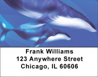 Whale Wonders Address Labels | LBQBC-48