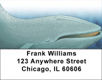 Whale Wonders Address Labels | LBQBC-48