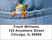Frog In Your Pocket Address Labels | LBQBC-50