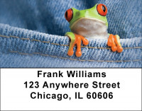 Frog In Your Pocket Address Labels | LBQBC-50