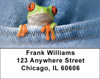 Frog In Your Pocket Address Labels | LBQBC-50
