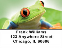Funky Tree Frogs Address Labels | LBQBC-52