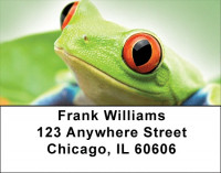 Funky Tree Frogs Address Labels | LBQBC-52