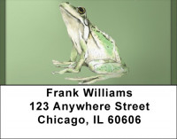 Green Frog Pencil And Watercolor Address Labels | LBQBC-53