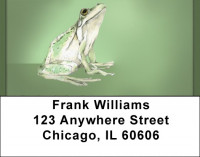 Green Frog Pencil And Watercolor Address Labels | LBQBC-53