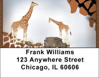 Giraffe Daze Address Labels | LBQBC-56