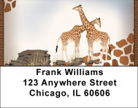 Giraffe Daze Address Labels | LBQBC-56