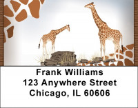 Giraffe Daze Address Labels | LBQBC-56