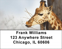 Towering Giraffe Address Labels | LBQBC-57