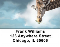 Towering Giraffe Address Labels | LBQBC-57
