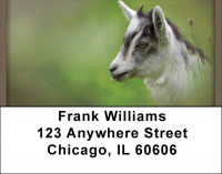 Got Your Goat Address Labels | LBQBC-58