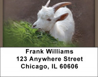 Got Your Goat Address Labels | LBQBC-58