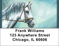 Arabian Horse Portraits Address Labels | LBQBC-61
