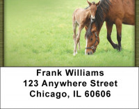 Foals And Mares Address Labels | LBQBC-62