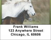For Horse Lovers Address Labels | LBQBC-63