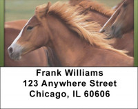 For Horse Lovers Address Labels | LBQBC-63