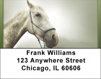 For Horse Lovers Address Labels | LBQBC-63