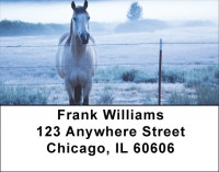 Horse On Misty Morning Address Labels | LBQBC-64