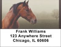 Horse Portraits Address Labels | LBQBC-65