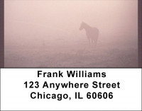 Horse Silhouettes Address Labels | LBQBC-66