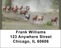 Mountain Roundup Address Labels | LBQBC-70
