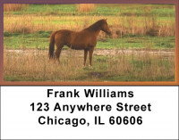 Sunset In The Foothills Address Labels | LBQBC-71