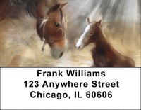 The Miracle Of Life Address Labels | LBQBC-72