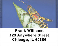 Grasshoppers Address Labels | LBQBC-77