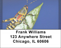 Grasshoppers Address Labels | LBQBC-77