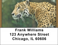 Jaguar Big Cats Address Labels | LBQBC-80