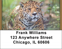 Jaguar Big Cats Address Labels | LBQBC-80