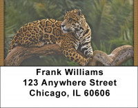 Jaguar Jungle Address Labels | LBQBC-81