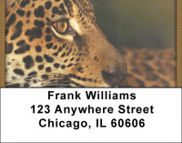 Jaguar Jungle Address Labels | LBQBC-81