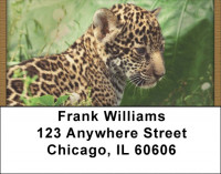 Jaguar Jungle Address Labels | LBQBC-81