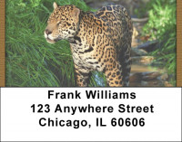 Jaguar Jungle Address Labels | LBQBC-81