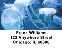 Jellyfish Jungle Address Labels | LBQBC-82
