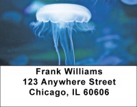 Jellyfish Jungle Address Labels | LBQBC-82