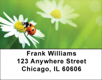Daisy And Ladybugs Address Labels | LBQBC-83