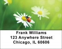 Daisy And Ladybugs Address Labels | LBQBC-83