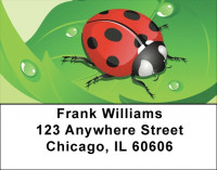 Dew Ladybugs Address Labels | LBQBC-84