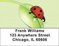 Dew Ladybugs Address Labels | LBQBC-84