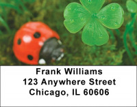 Lady Luck Address Labels | LBQBC-85