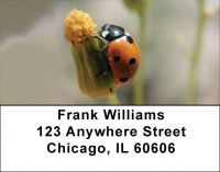 Ladybug Garden Address Labels | LBQBC-87