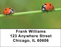 Lovely Ladybugs Address Labels | LBQBC-90