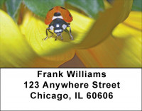 Lovely Ladybugs Address Labels | LBQBC-90