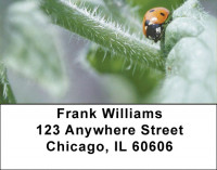 Lovely Ladybugs Address Labels | LBQBC-90