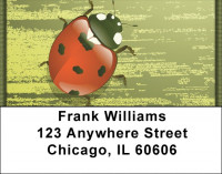 Shabby Chic With Ladybug Address Labels | LBQBC-94