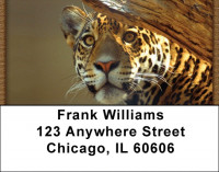 Leopard Watch Address Labels | LBQBC-96