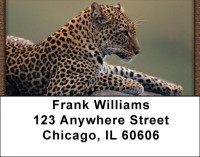 Leopard Watch Address Labels | LBQBC-96
