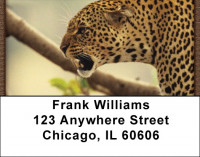Leopard Watch Address Labels | LBQBC-96